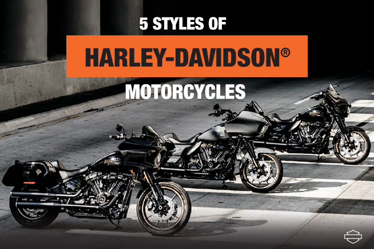 Harley Davidson Cruiser Motorcycles